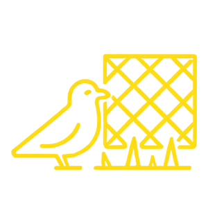 Rete e dissuasori anti-piccioni